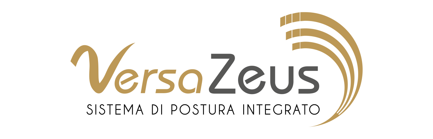 Logo Versa Zeus